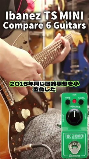 TS MINI豆知識🎸#ストラトキャスター #ジャズマスター