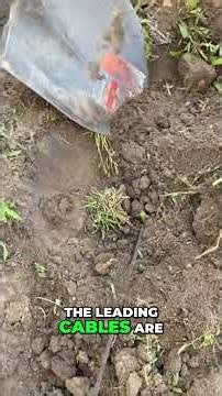 Leaked NBN Directive: Why Cables Are Failing! #shorts