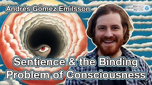 AI, Sentience & the Binding Problem of Consciousness — is LaMDA sentient? — Andrés Gómez Emilsson – Lifeboat News: The Blog