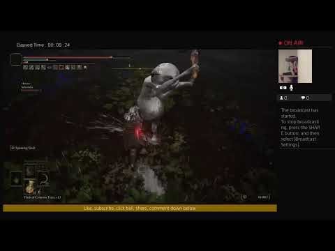 Elden ring: taunter tongue Ng+4 fun.