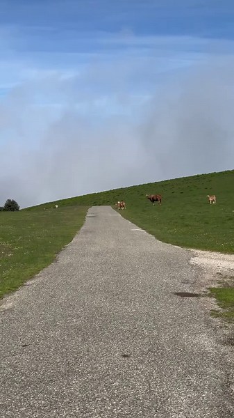 Partie 2 | première sortie choc de la prépa 🥾 #trail #nature #prepa #running