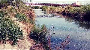 wetland River 2
