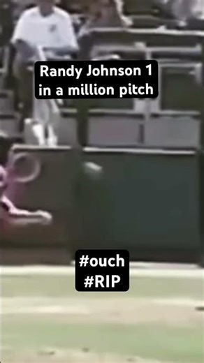Randy Johnson shows a seagull his fast ball #trending #viralvideo #mlb #baseball