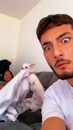 #animals #funnyvideos #funny #pet #dog #cat #laugh #cute #dogsoftiktok #catsoftiktok #fyp #foryou