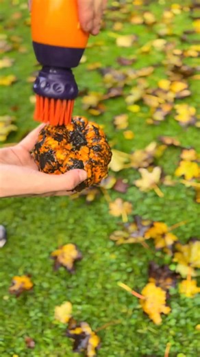 8.9K views · 16 reactions | Happy Halloween  | The Paw Buddy | Facebook