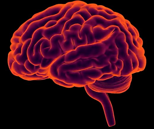 Qualia Mind: Advanced Nootropic for Focus & Brain Health