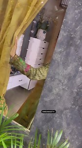 Culture Vibe ⭐ 🤩😍❤️‍🩹❤️‍🩹.. .......#punjabi #culture #videos #trending #viral #video #punjabi | punjabi culture