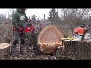 FŰRÉSZ MÁNIA: BAJNOKOK FAVÁGÁSA BERNECEBARÁTIBAN