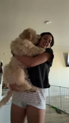 Bourbon’s all grown up 🥹🫶🏼#greenscreenvideo #MickeyFriendsStayTrue #CVSPaperlessChallenge #puppy #dogsoftiktok #puppiesoftiktok #dog #cockapoosoftiktoks #cockapoo