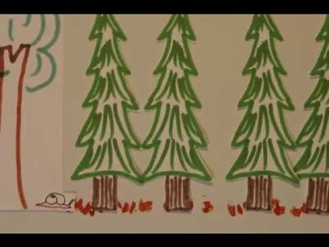 THE MATRIX IN ECOLOGY