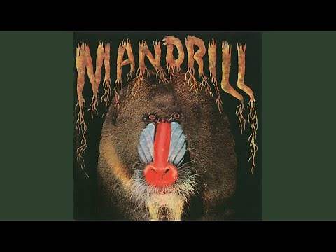 Mandrill
