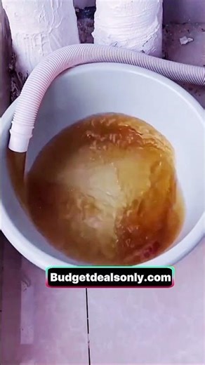 Your Washing Machine Is Not Really Clean 😳 Try This Simple Hack