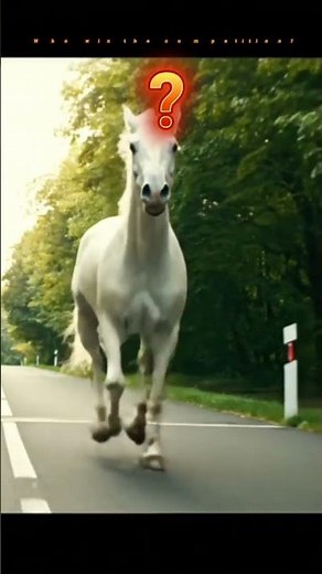 Competiton Between Woman vs Horse #competition