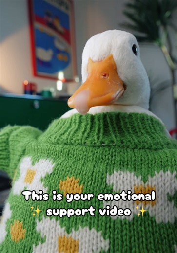 Send this to someone who could use a smile #dancing #duck #funny