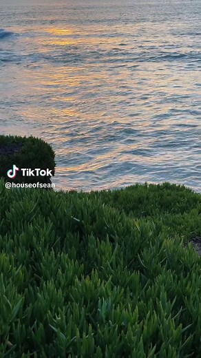 San Diego Sunset Beach: Best Spots to Watch the Ocean Sunset