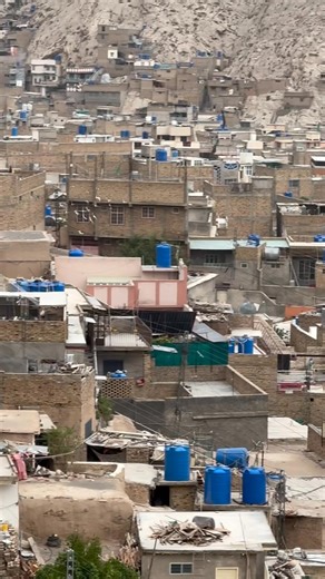 # New pigeons # in training @colorful birds | Colorful birds