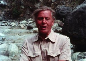 The Living Planet: A Portrait of the Earth: 1--Building of the Earth : Ambrose Video Publishing : Free Download, Borrow, and Streaming : Internet Archive