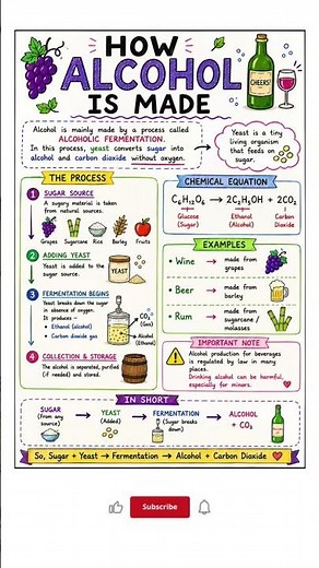 🍷 How Alcohol Is Made? 🤯 | Fermentation Explained #shorts