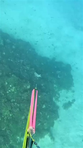 4.4K views · 34 reactions | Radamm | Roneil Randy Brown | Facebook