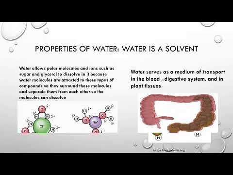 Chapter 2.4: Biological Molecules - Water