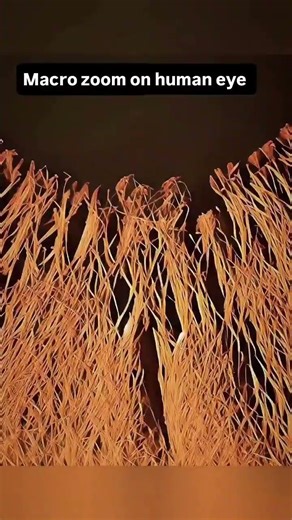 Macro zoom on human eye #macroperfection #science