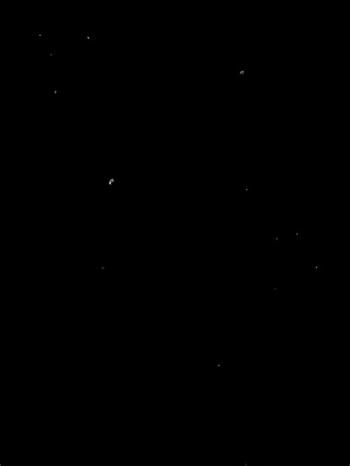 ENTP vs INFJ: Understanding Personality Dynamics