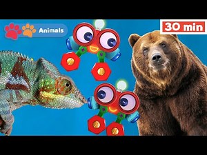 Toddlers Learn Animals with Robi | Educational Early Learning Videos for Baby Brain Development