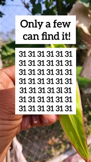 Find the Odd One | Visual Logic Challenge | Ep.1232