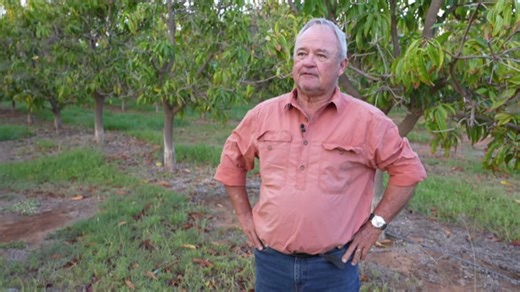 Flooded Western Australian growers call for levee review