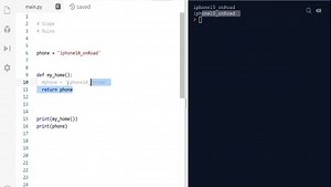 Lecture 70: Meaning of Scope Rule of a function in Python