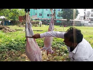 Goat Cutting Masterclass 🐐 | Fast & Clean Butcher Skill | Amazing Cutting Skills
