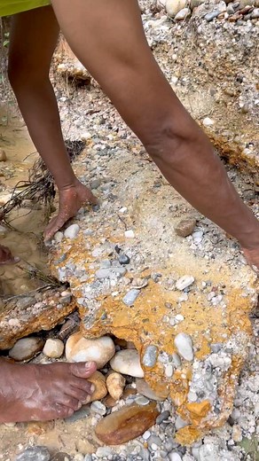 201K views · 1K reactions | Windfall,inside the red coral | Yundra Gold Hunter | Facebook