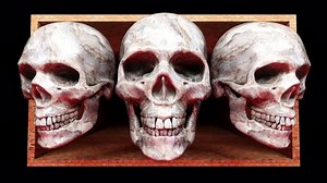 Anamorphic Marble Skull