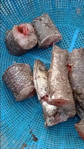 টক-ঝাল তরকারি #shorts #freefire