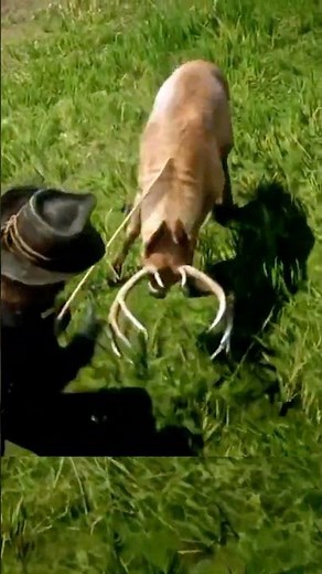 RDR2 Hunting 3* Whitetail Buck With a Lasso