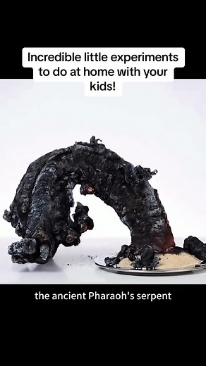 Fun Science Experiments to Do at Home with Kids