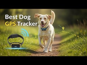 TOP 5 Best Dog GPS Tracker 2026 | Dog GPS Trackers You Need
