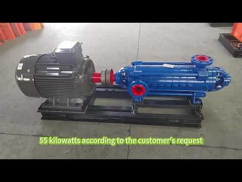 Customer visit and witness testing at the horizontal multi-stage pump factory.