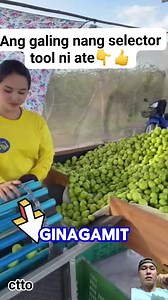 Ang galing nang selector tool ni ate 👇👍 #selectors #segregation #process #reelsvideo #reelsviralシ | Jefferson P Ongtan