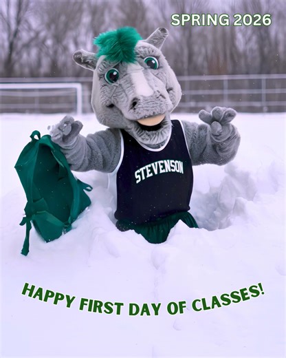 Have a great spring semester! Although it doesn't look like spring yet, Wild Stang is with you every step of the way! | Stevenson University