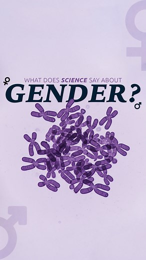 19K views · 487 reactions | Science has something to teach us about God’s design of gender. | Creation Museum | Facebook