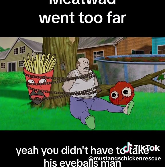 That time Meatwad went too far #aquateenhungerforce #athf #adultswim #retro #2000s #fyp