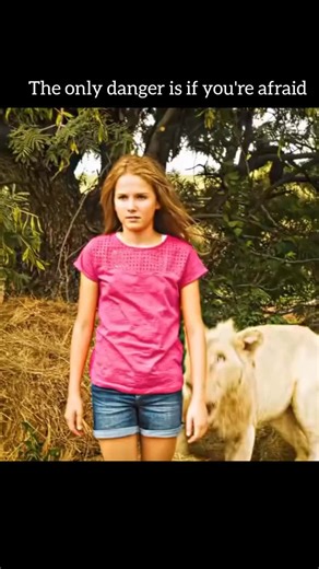 Epic movie Scene | 🦁💛 Mia and the White Lion (2018) – A Friendship Born in the Wild 🌍✨ Mia grows up alongside a rare white lion named Charlie, forming an... | Instagram