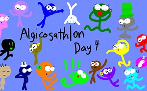 Algicosathlon第四天