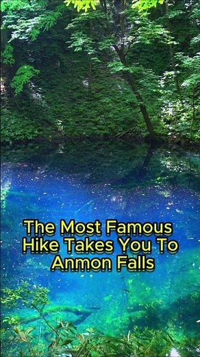 Shirakami Sanchi: A UNESCO World Heritage Site! For nature lovers.