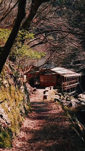“Exploring Gifu: Japan’s Most Underrated Hidden Gem”