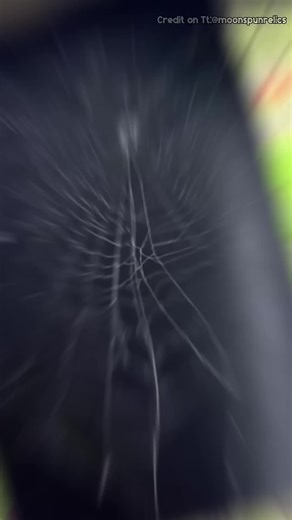 Inovasi Seni Unik: Gadis Jenius dan Jaring Laba-Laba