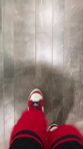 Check Up on Benny the Bull: A Heartwarming Update