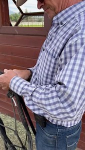 12 reactions | ⚠️ YOU DON'T CONNECT WITH A HORSE ⚠️ A lot of people...