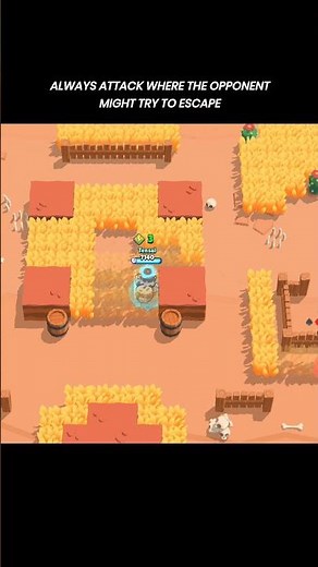 BEST GUIDE FOR DYNAMIKE!